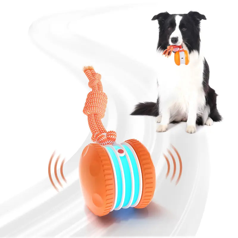 Pet Interactive Dog Ball